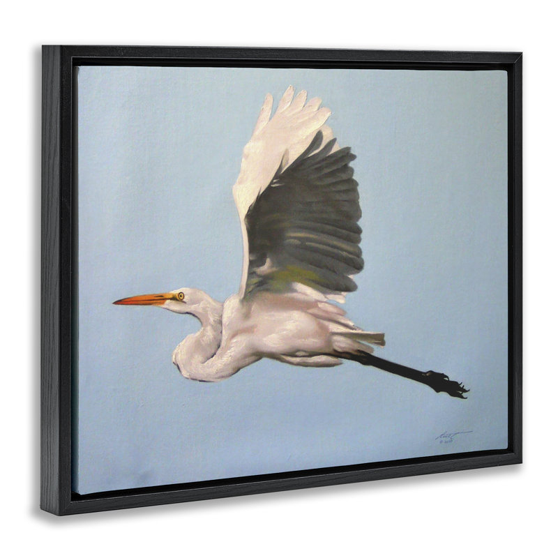 «Graceful Egret Flying Canvas» par D. Rust, H 25 po x l 31 po, Cadre flottant noir de jais