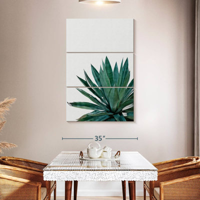 Cactus Harnek Agave