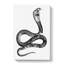 Viper Snake Illustration - Wrapped Canvas Print-55302676