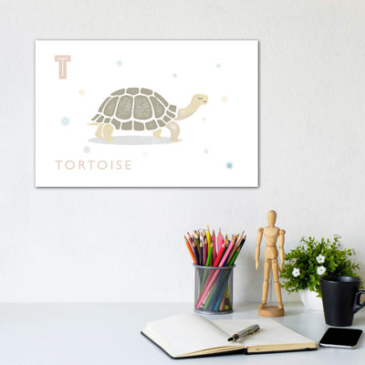 " Tortoise "