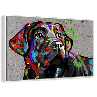 Labrador