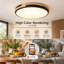 Acrylic Flush Mount