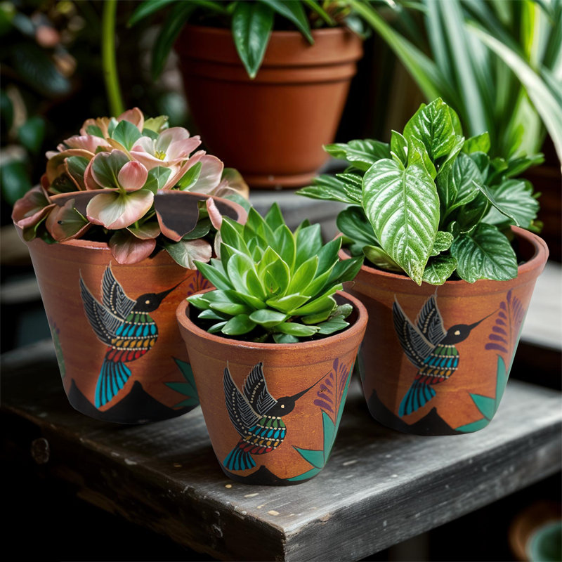 "Grand ensemble" de pots à fleurs Southwest Southwest