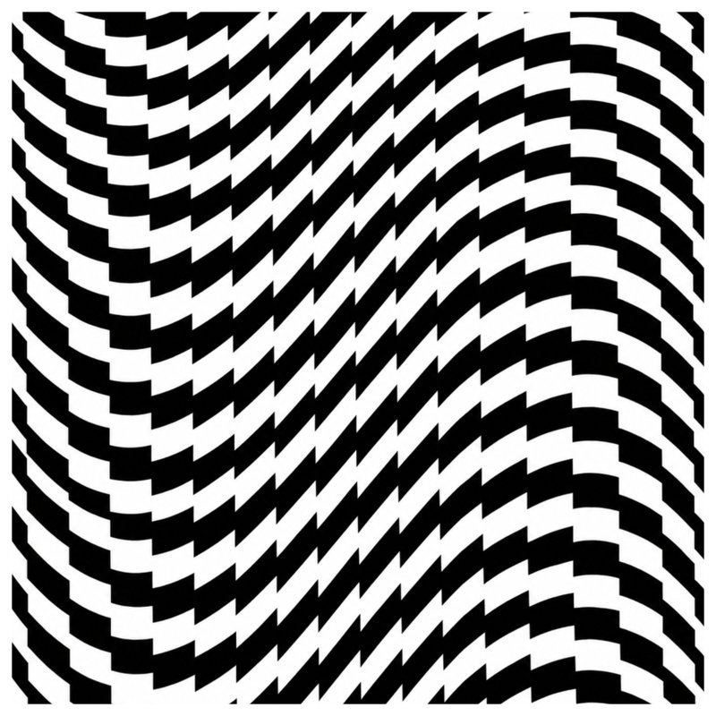 Black White Optical Illusion Comforter, Twin Extra Long