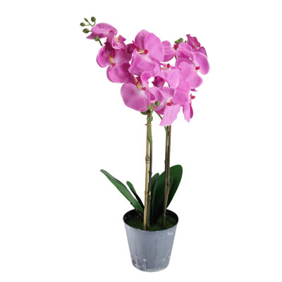 Plante artificielle orchidée phalaenopsis