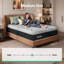 Novilla Cooling Zones Support Pocket Sprung Mattress-124802934-124802932