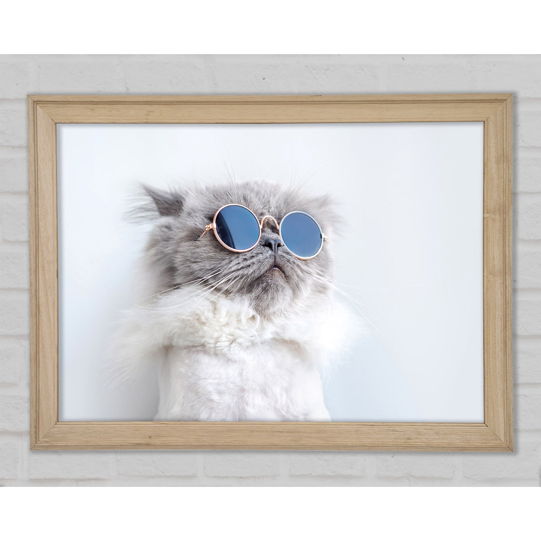 Die Katze mit Brille - Einzelne Bilderrahmen Kunstdrucke