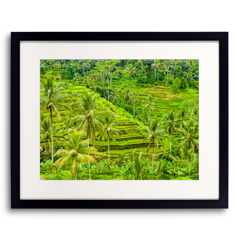 Landscape & Nature Print by Mark Paulda, Black Framed Paper, 16" H x 20" W
