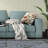 Outdoor Reversible Throw Pillow-99210425-99146915