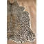Acadia Animal Print Area Rug
