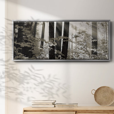 Misty Forest - toile encadrée