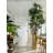 Lady 96 " H Faux Palm Tree