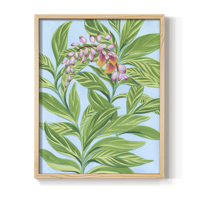 «Tropical Shell Ginger I», reproduction encadrée - bois massif, H 15 po x l 12 po