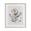Fleurs pressées sous pression, reproduction encadrée sous verre, design avec lettres et doublure-2000265726-2000265724