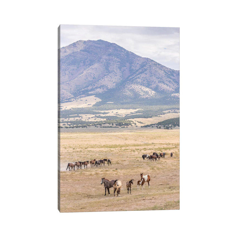 USA, Utah, Tooele County. Wild Horse Bands And Mountain. by Jaynes Gallery - Wrapped Canvas Gallery-Wrapped Canvas Giclée