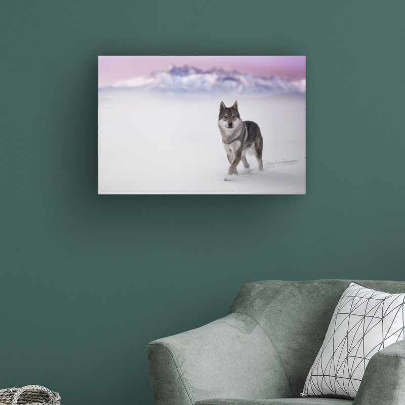 «Lone Wolf» par Stanislav Hricko, reproduction de photo sur toile tendue, H 16 po x l 24 po x P 2 po