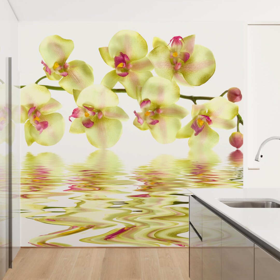 Matte Fototapete Verträumte Orchideen im Wasser 1,92 m x 192 cm