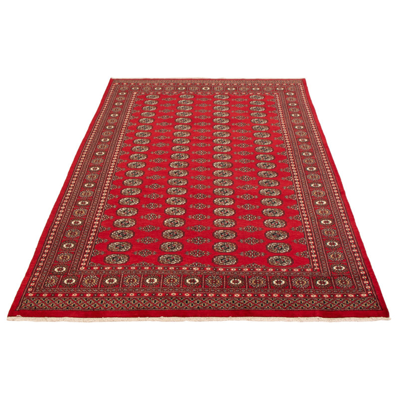 Tapis rouge 6 pi 7 po x 10 pi 2 po Finha Peshawar Bokhara
