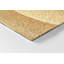 Non-Slip Outdoor Doormat