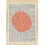 Pet-Peu Print by Michela Sorrentino-1426748042-1426748045