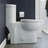 Sublime One Piece Elongated Toilet Dual Flush-99927470