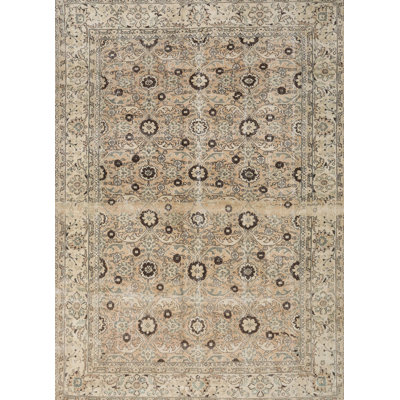 Anwen Oriental Indoor Rug