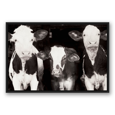 Cow Cow Pals, reproduction d'art sur toile