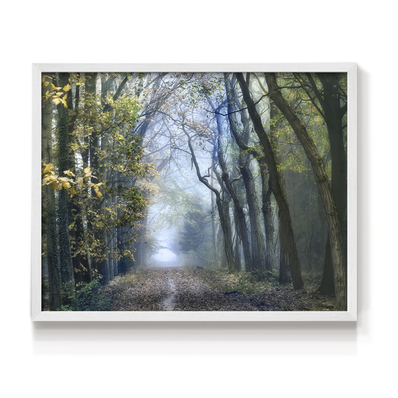 Forêt d'acacia - Reproduction encadrée - Restickable, H 8 po x l 10 po, Blanc
