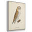 «French Owls IV», reproduction sur toile 3 pièces-91887707-91887708