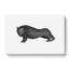 Wombat Illustration In Black And White - Wrapped Canvas Print-55300732