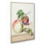 A Peach And Plum by E.G. Van De Kasteele - Wrapped Canvas-55301093