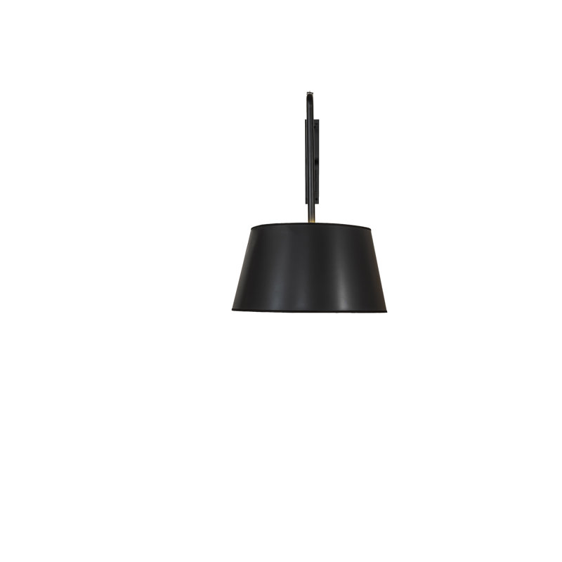 1 - Light Swing Arm