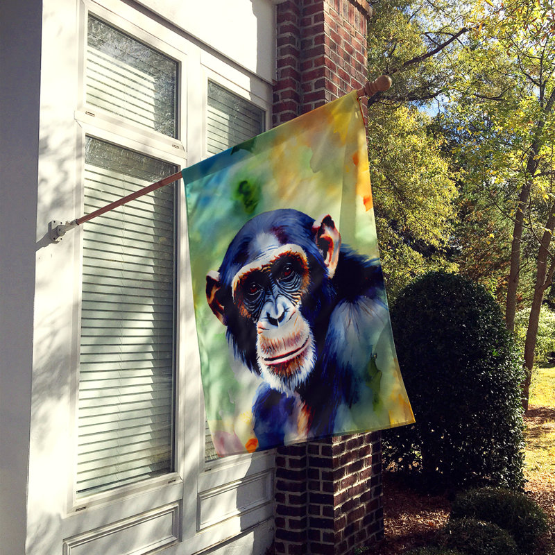 Drapeau de maison de chimpanzé