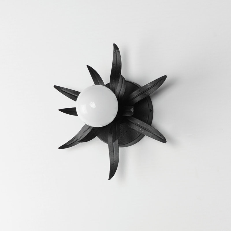Paloma-Wall Sconce, Anthracite