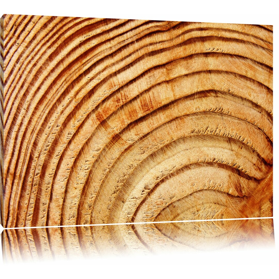 Leinwandbild ,,Baumstamm Holzringe", Fotodruck