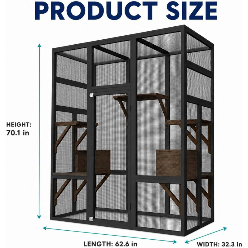 Cat House, Black