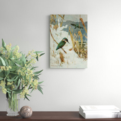Vintage Kingfisher by Wilhelm Kuhnert - Wrapped Canvas