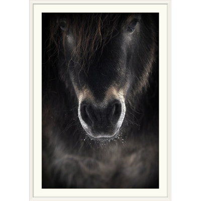 Straub 'Ulysses Photographic Print