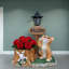 Jardinières lumineuses solaires, statue de chat rustique en résine, décoration de jardin