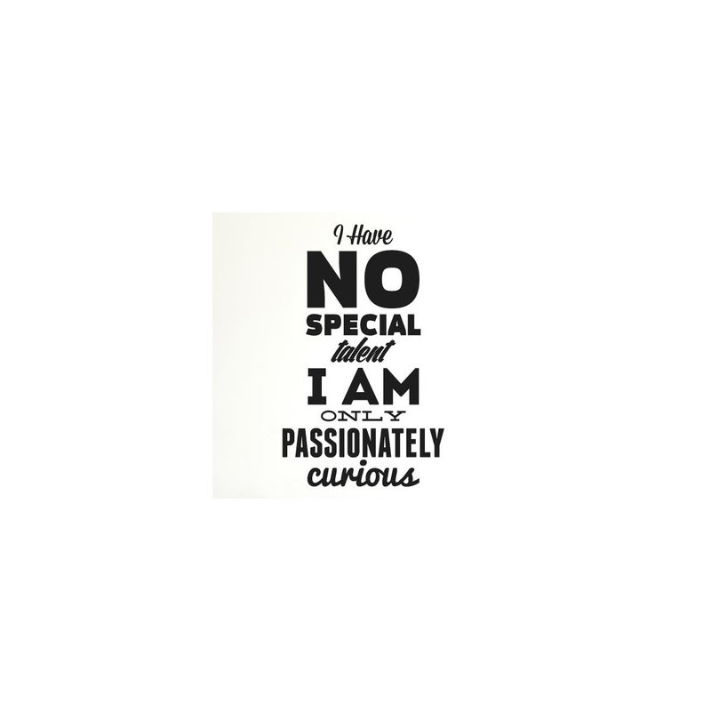 Non-Wall Damaging Wall Decal, Black, Large