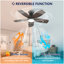 Ventilateur de plafond à profil bas 32 pouces avec lumière et télécommande, moteur à courant continu silencieux à intensité variable, pour l'intérieur et l'extérieur de la chambre à coucher, noir