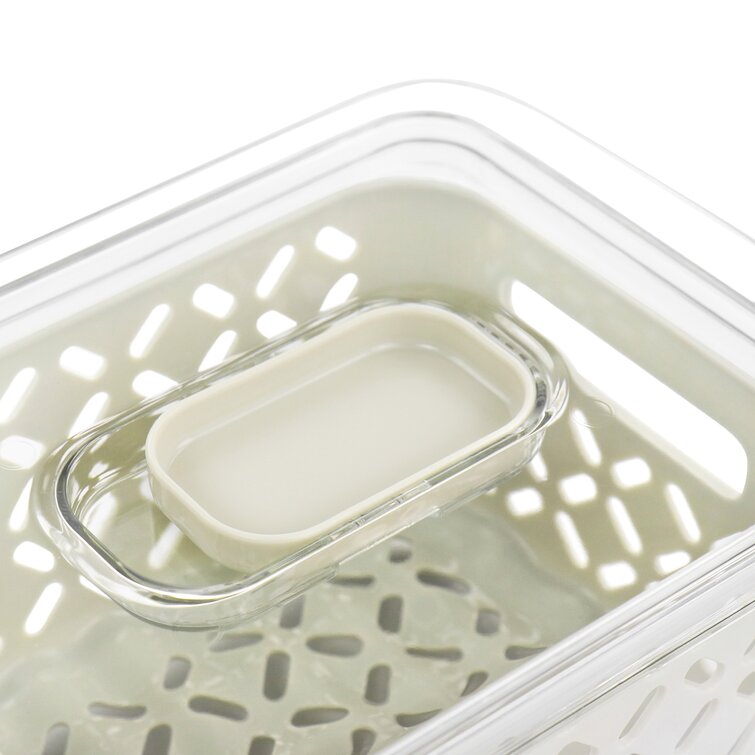 Martha Stewart Fresh Keeper, Plastic, Large