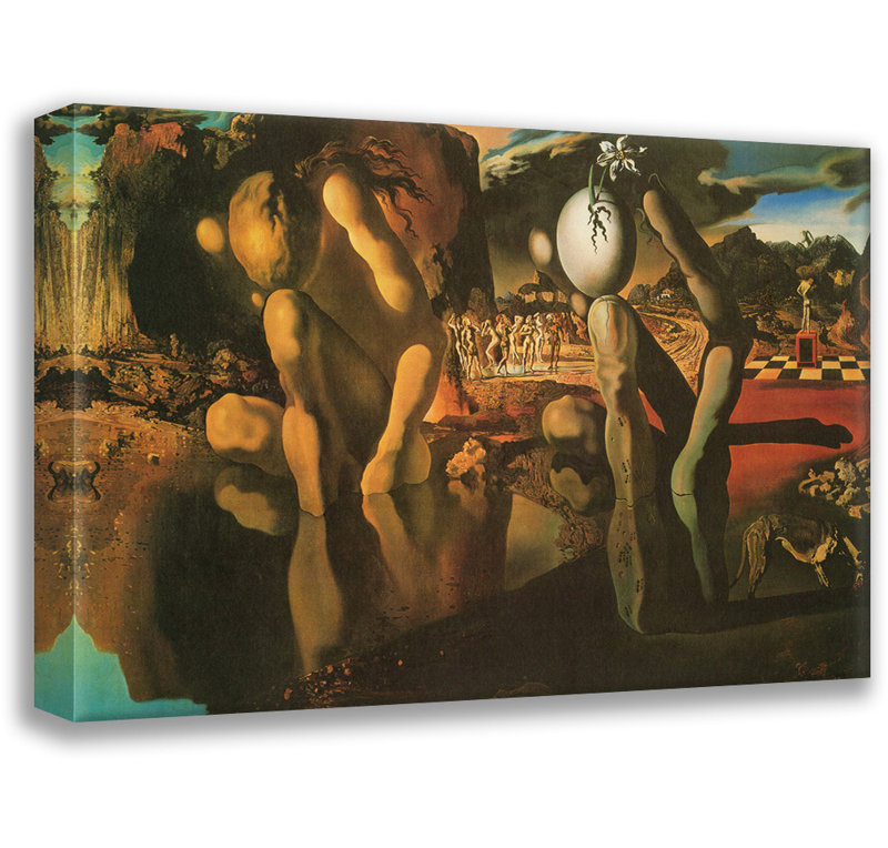 «Metamorphosis» par Salvador Dali, toile tendue avec châssis, H 17 po x l 24 po