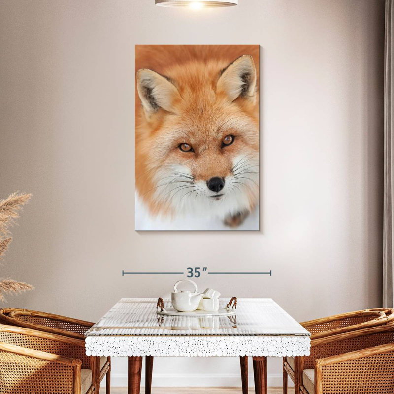 Renard roux moelleux Brampt, H 45 po x l 30 po