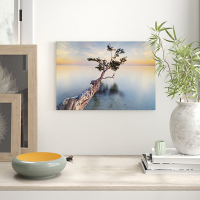 Water Tree XIV - Wrapped Canvas Print
