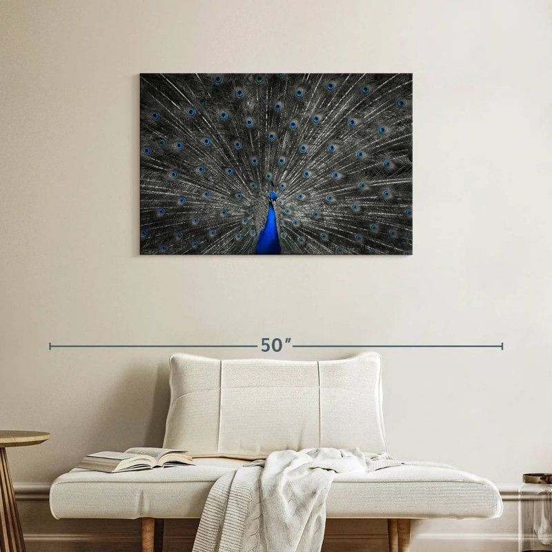 Plume de paon bleu Crowle, H 24 po x l 36 po