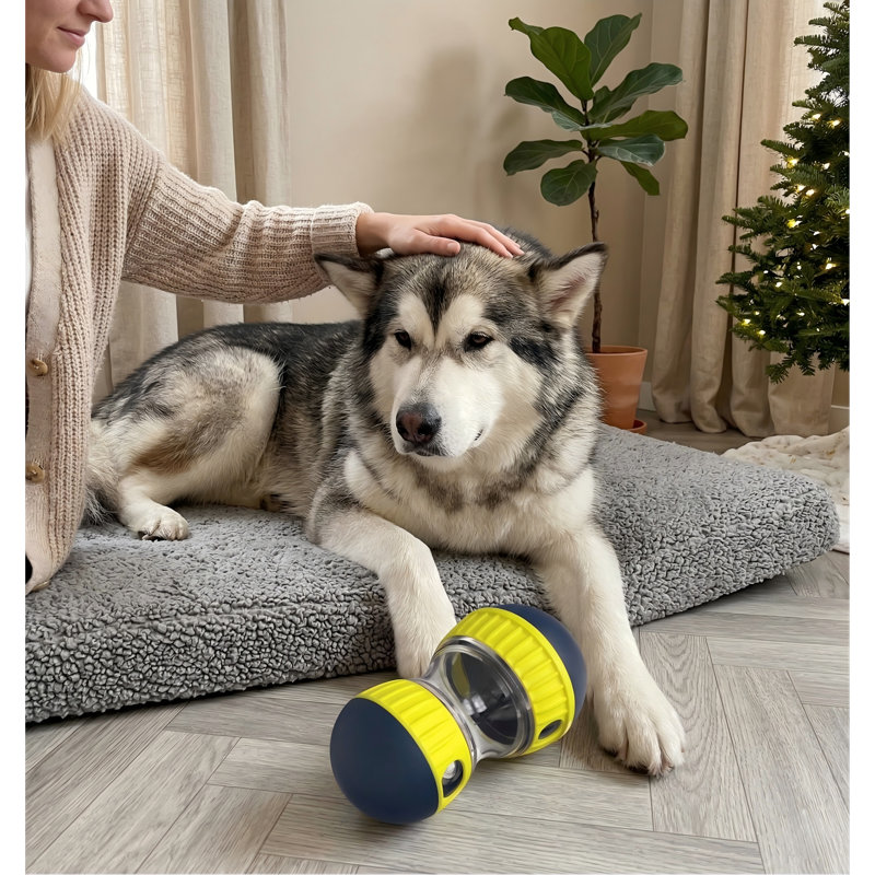 Grande boule distributrice de gâteries d'enrichissement, casse-tête de distribution de nourriture et alimentation lente, jouet de stimulant mental pour chiens de taille moyenne et petite