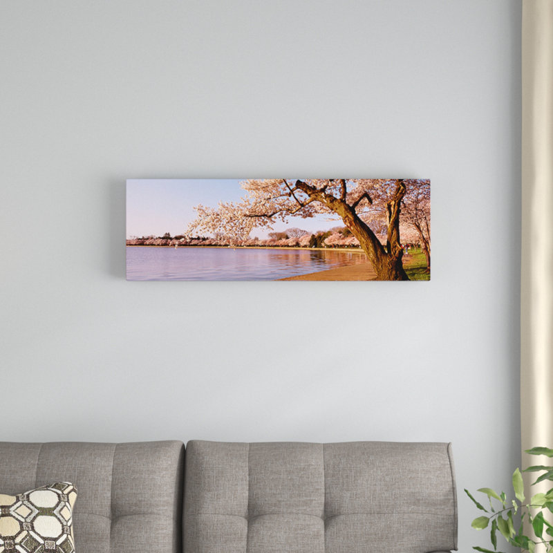 «Cherry Blossom Tree Long a Lake, Potomac Park, Washington, DC», reproduction de photo sur toile, Cadre noir