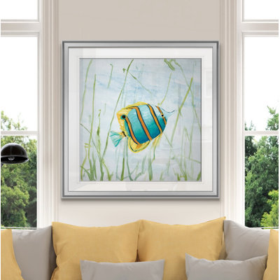 " Reef Encounter II "
