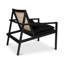 Modern Brazilian Lounge Chair-1046896064